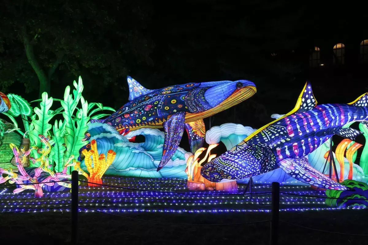 budapestede renkli fener festivali PxZwOWpc.jpg