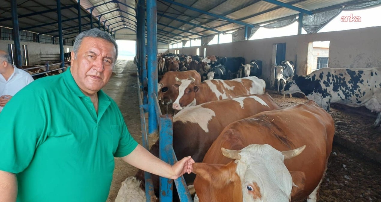 gurer et fiyatlarina isyan etti uretici degil ithalat kazaniyor zZtzdgiS.jpg