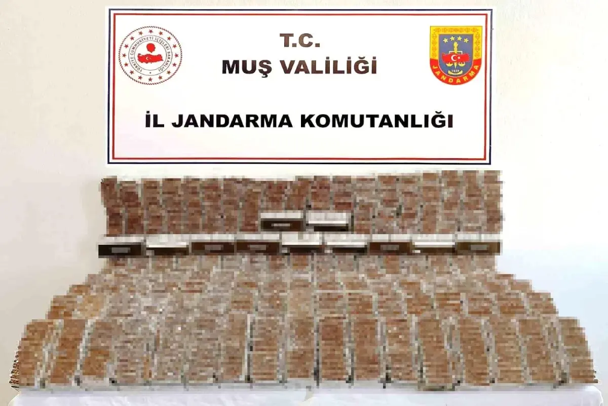 musta kacak tutun operasyonu rcuCEu8B.jpg