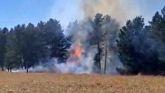 sarikamista orman yangini AJZ3MYSm.jpg