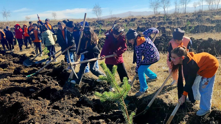 ataturku anma gununde fidan dikim etkinlikleri yapilacak sTX47TLT.jpg