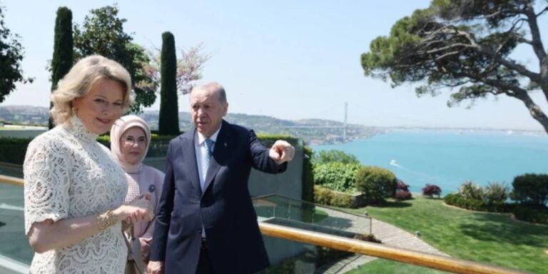 vahdettin-koskunde-kritik-kabul-erdogan-belcika-kralicesi-ile-gorustu-YER2LPt1