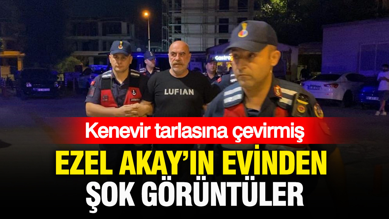 Haber gorseli