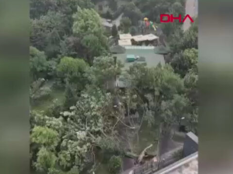 Son dakika istanbulda siddetli firtina agaclar devrildi 6aQuDnVm