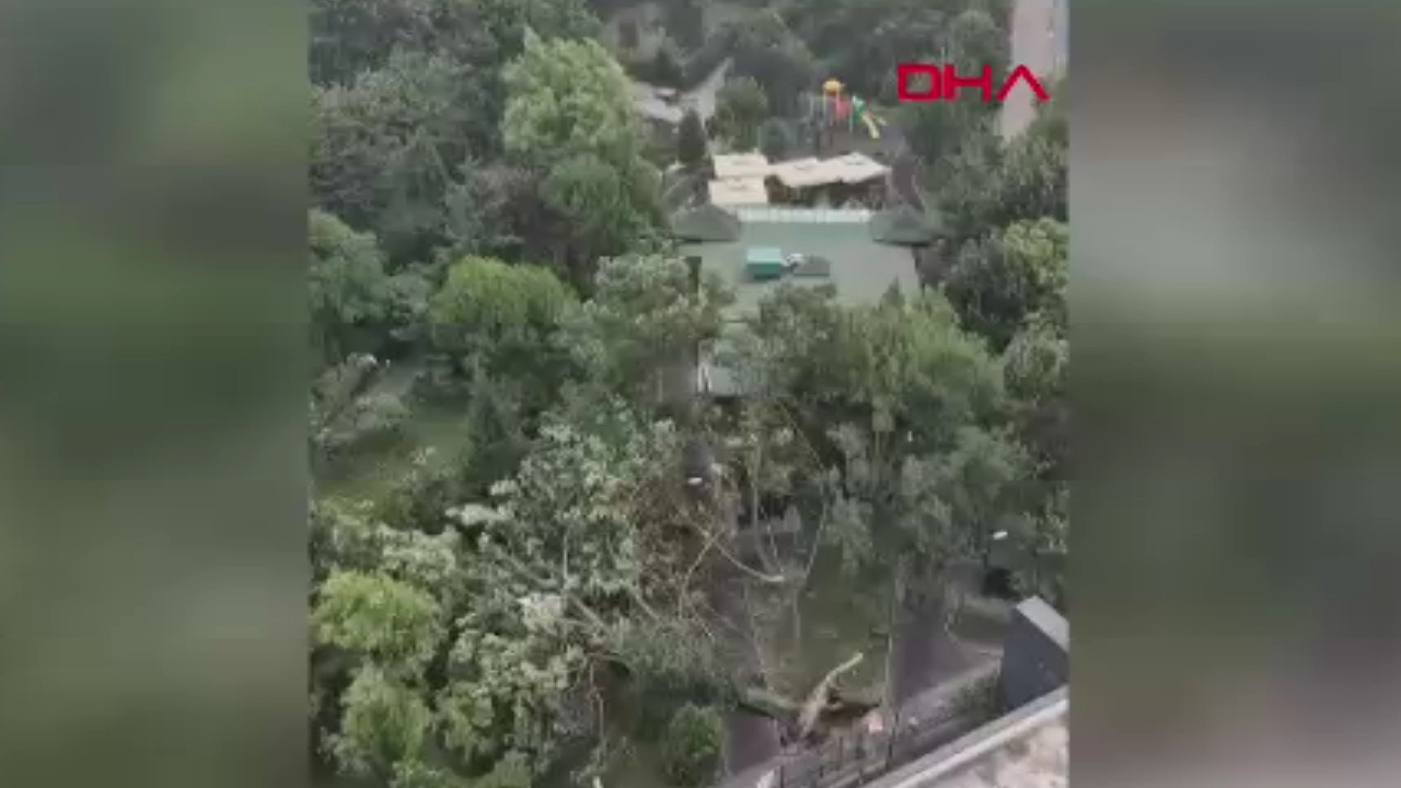Son dakika istanbulda siddetli firtina agaclar devrildi 6aQuDnVm